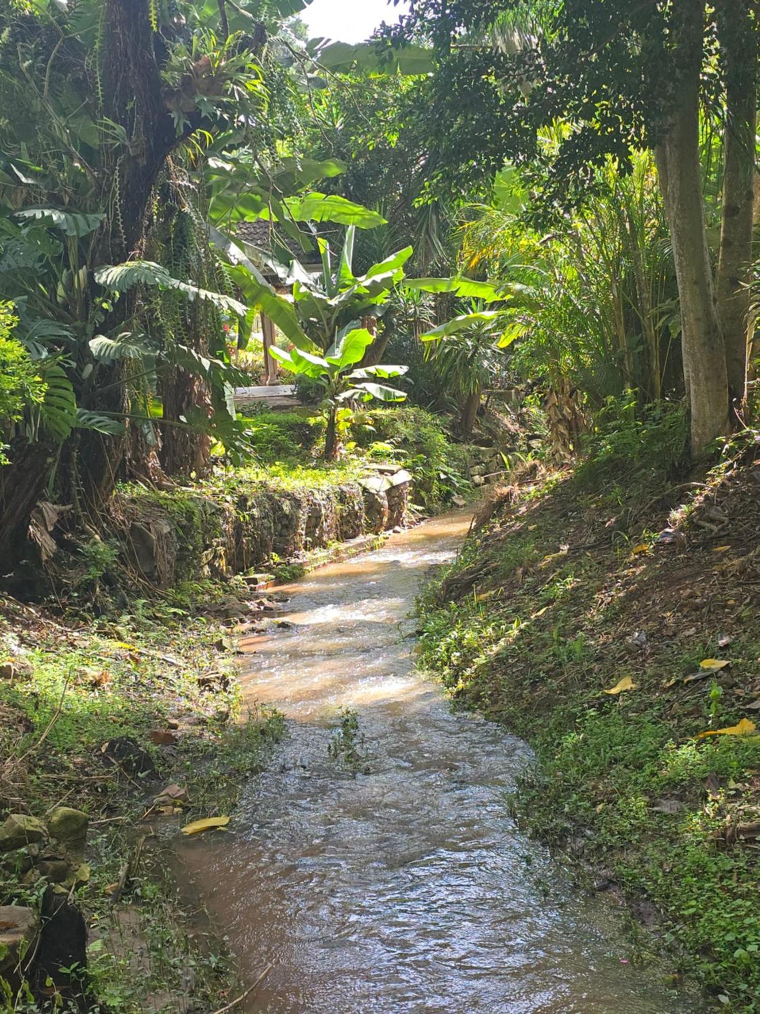 River Heaven Bnb ไพน์ทาวน์ ภายนอก รูปภาพ